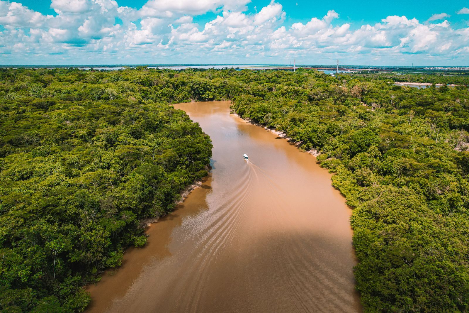 Amazon river from above